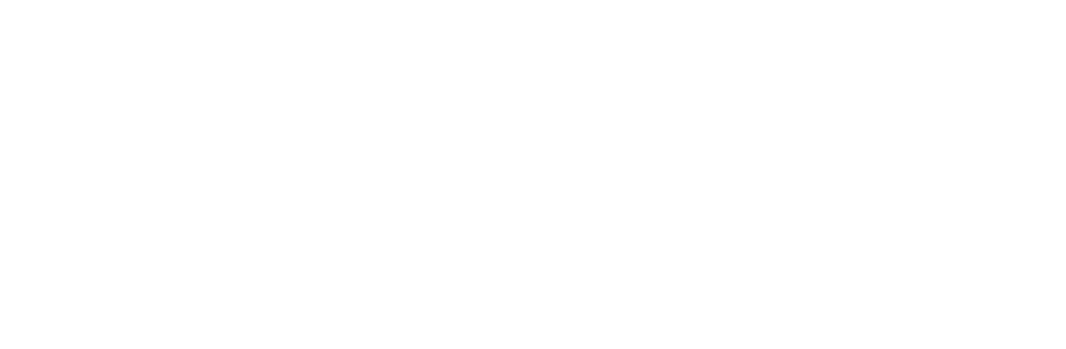 Logo website